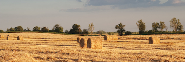 Is something going wrong with rural and remote education in Australia? (Or is it all about perception?)