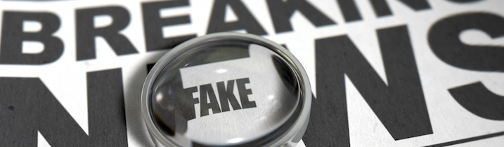 How educators might work in the fake news world