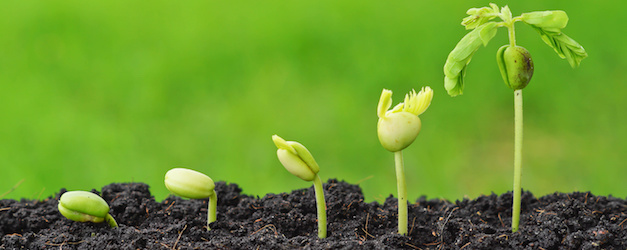 Nurturing mindfulness and growth mindset in the classroom